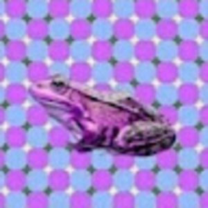 Meet your Posher, Kaylee